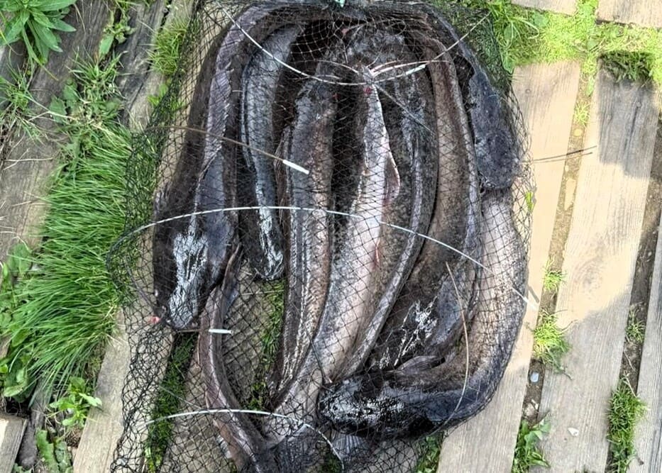 Аренда офиса  